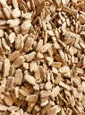 Bottle Gourd Seed