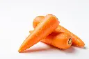 Carrot