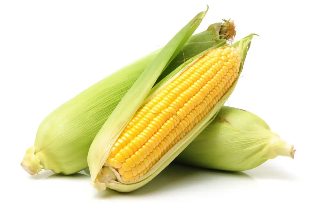 Corn