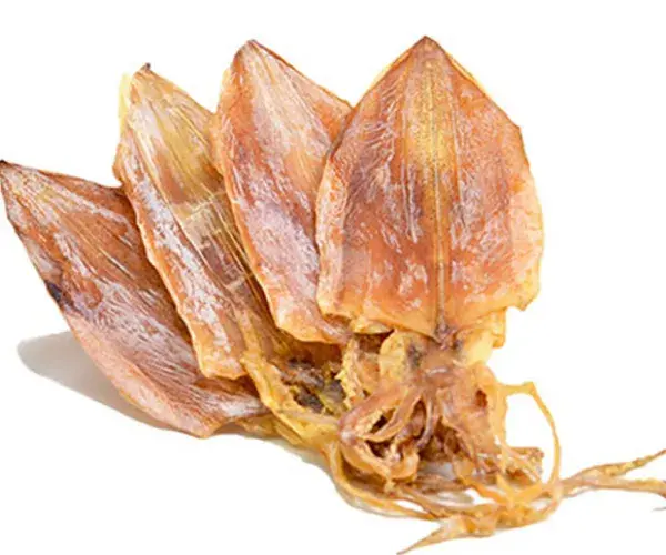 Dried Squid