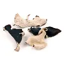 Dried Wood Ear Mushroom