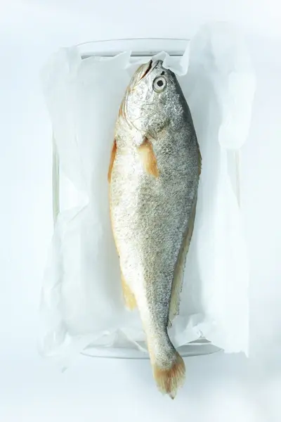 Frozen Croaker