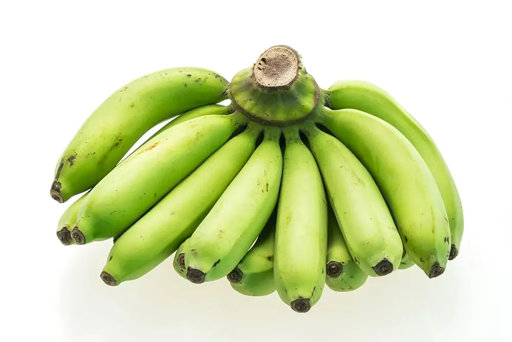 Green Plantain