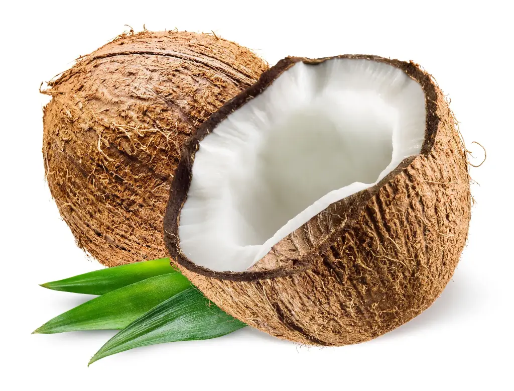 Mature Dry Coconut