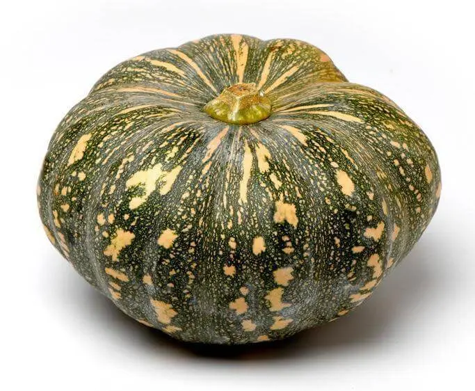 Pumpkin