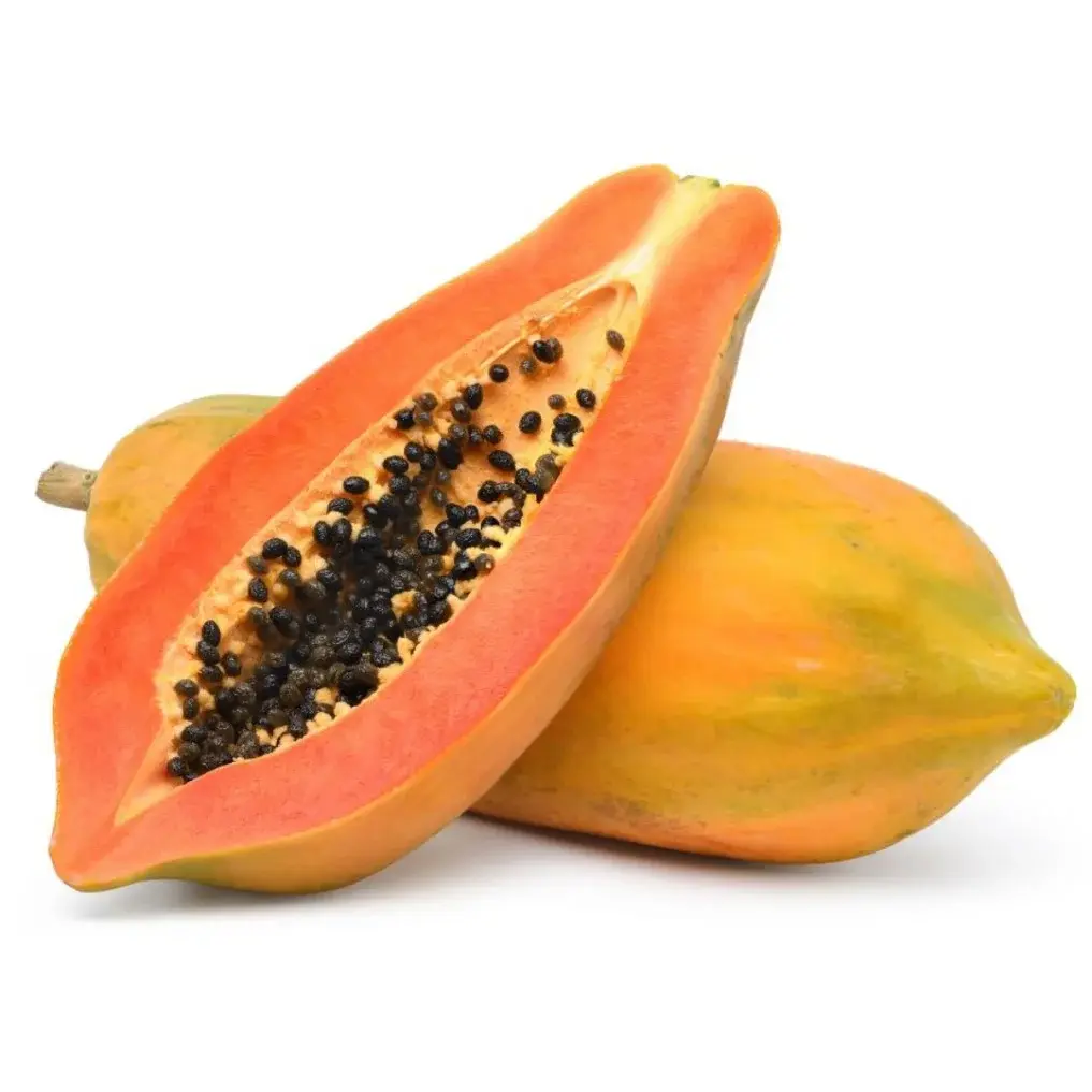 Red Lady Papaya