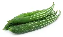 Snake Gourd