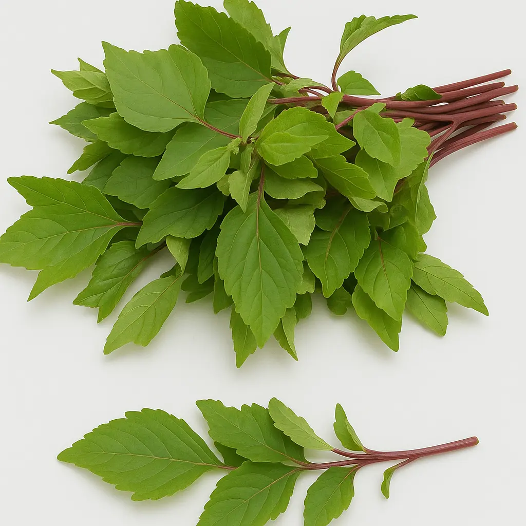 Sorrel Leaves
