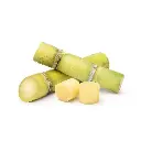 White Sugarcane