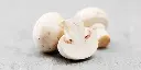 White Button Mushroom