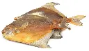 Dried Rupchanda Pomfret Fish