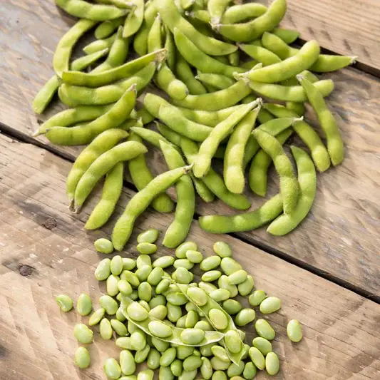 Broad Beans