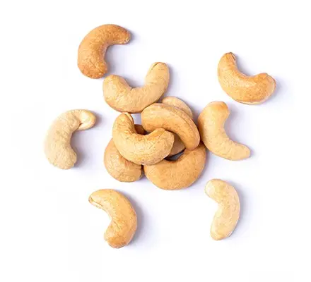 Cashew Nut