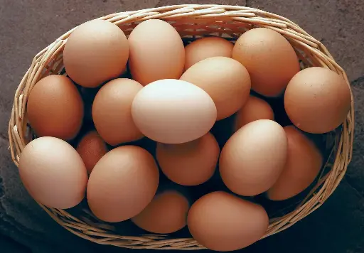 Chicken Egg