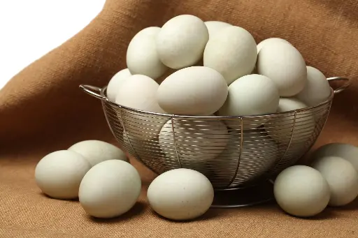 Duck Egg