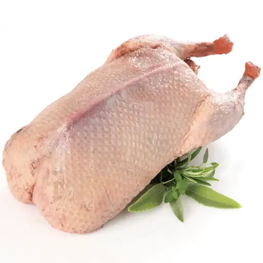 Duck Meat