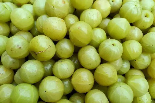 Fresh Amla