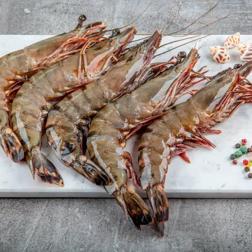 Freshwater Shrimp(Golda)