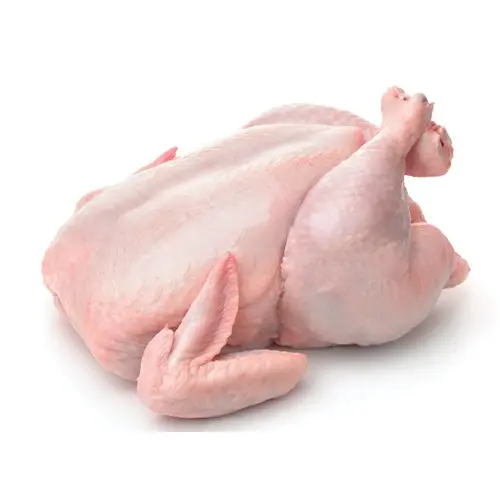 Frozen Chicken