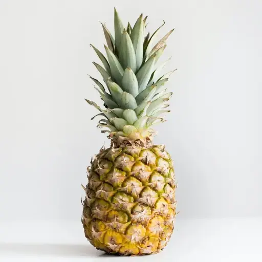 Giant Kew Pineapple(kalenga)