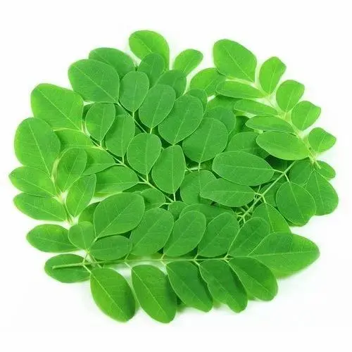 Moringa Leaves