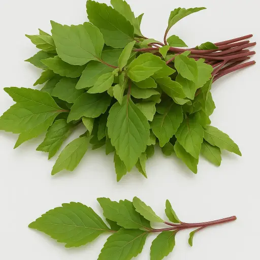 Sorrel Leaves