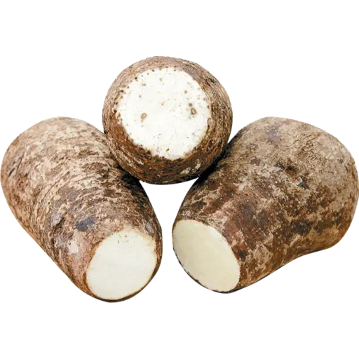Taro(kochu)