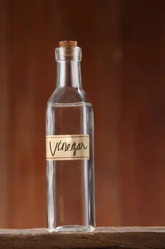Vinegar
