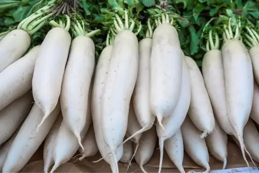 White Raddish