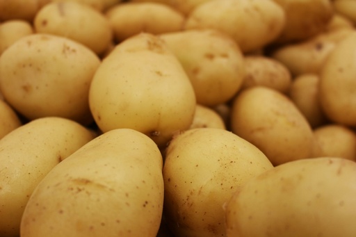 Yukon Gold Potato
