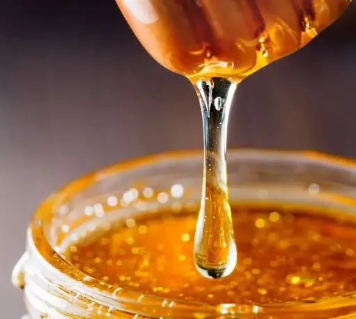 Sundarban Forest Honey (Wild Honey)