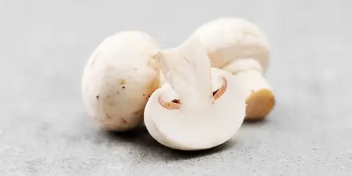 White Button Mushroom