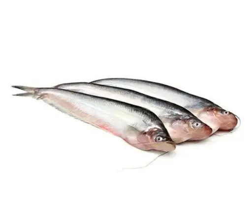 Pabda Fish