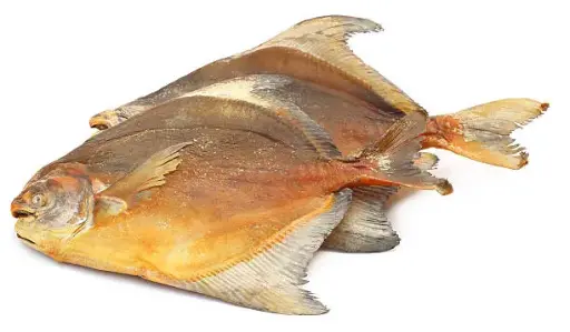 Dried Rupchanda Pomfret Fish