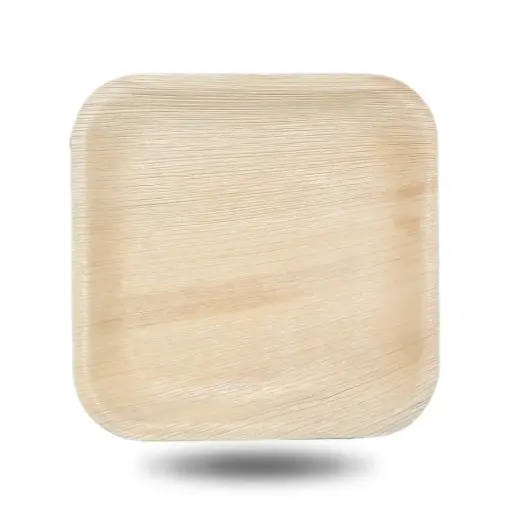 EcoLeaf 9″ Square Areca Disposable Plate: